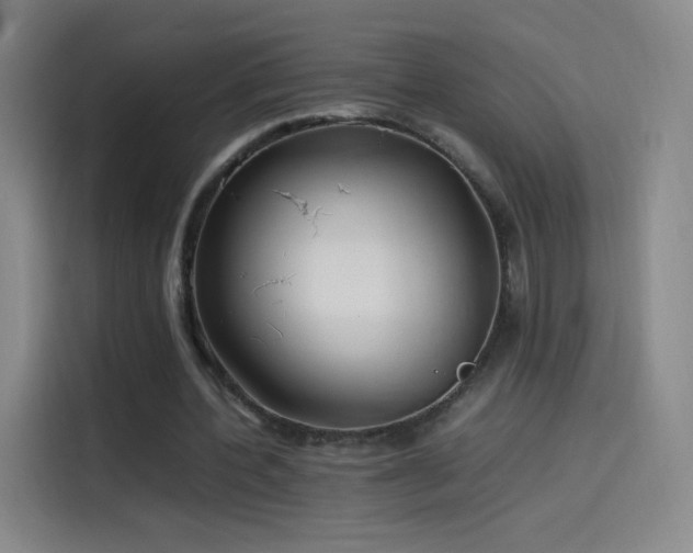 X0000114060532200910131147