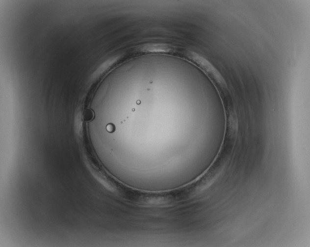 X0000114060533200910131147