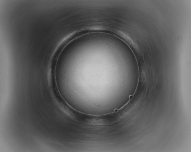 X0000114060535200910131147