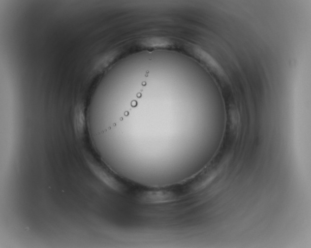 X0000114060541200910131147