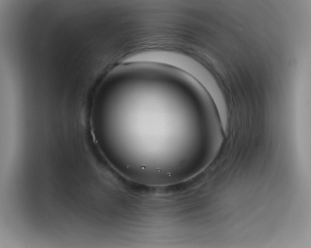 X0000114060546200910131147