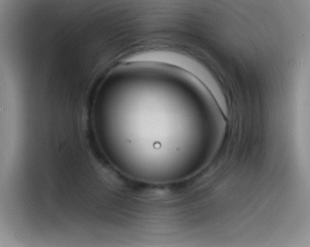 X0000114060552200910131148