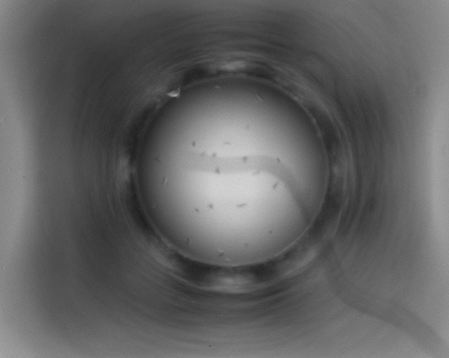 X0000114060555200910131148