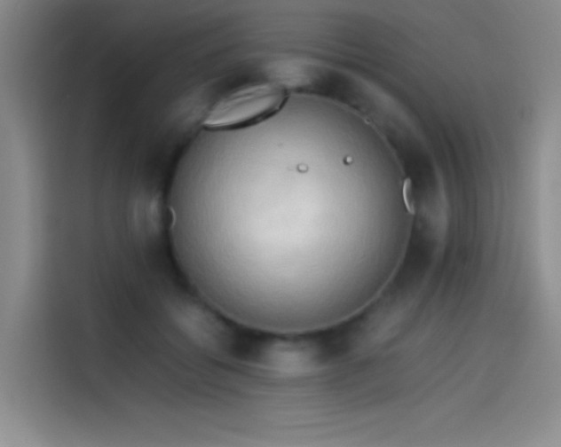 X0000114060556200910131148