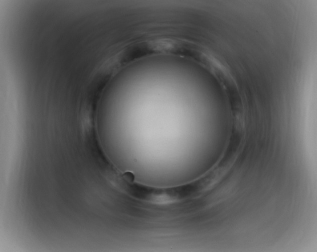 X0000114060561200910131148