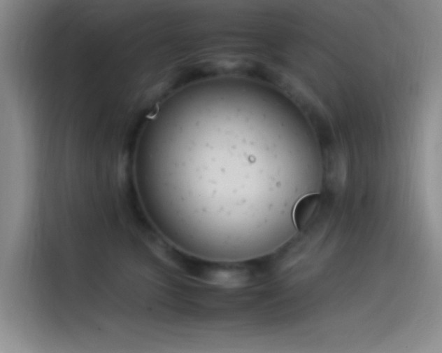 X0000114060563200910131148