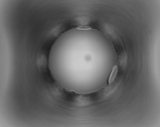 X0000114060568200910131148