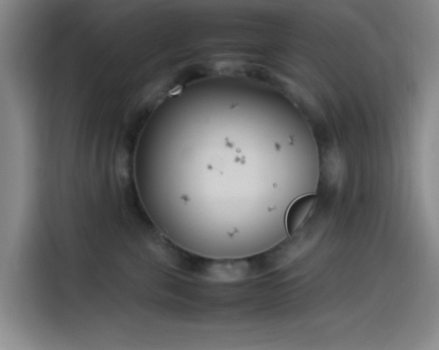 X0000114060571200910131148