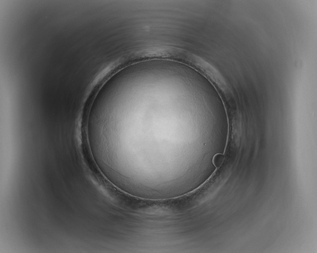 X0000114060578200910131147