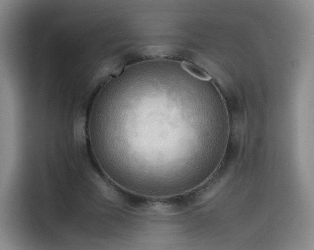 X0000114060585200910131147