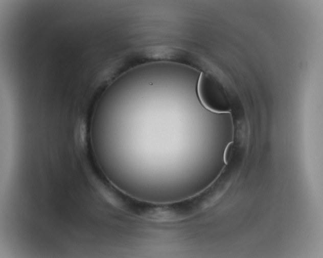 X0000114060589200910131147