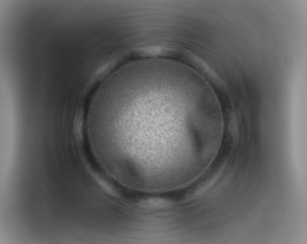 X0000114060590200910131147