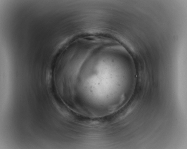 X0000114060592200910131147