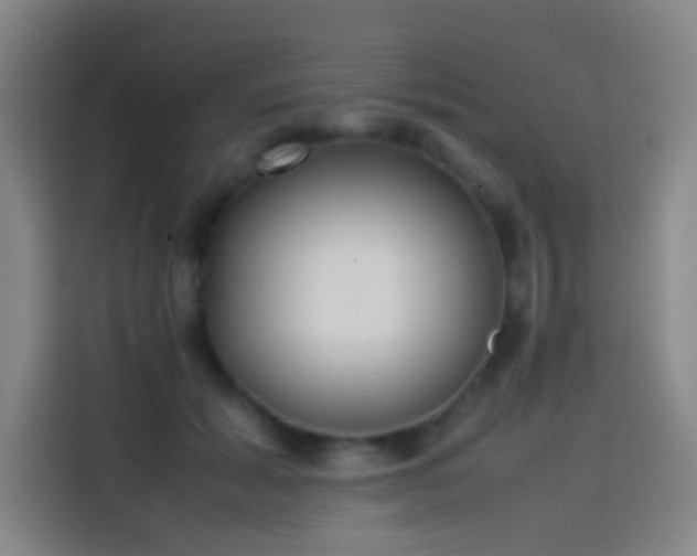 X0000114060605200910131147