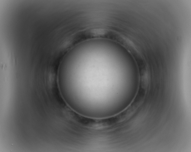 X0000114060608200910131147