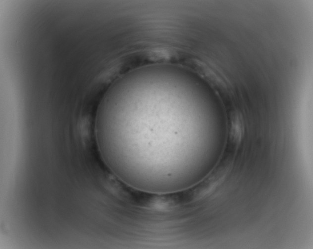 X0000114060616200910131147