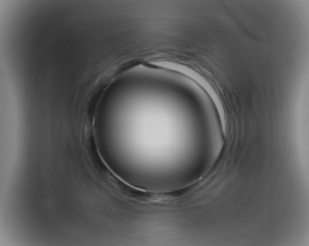 X0000114060617200910131147