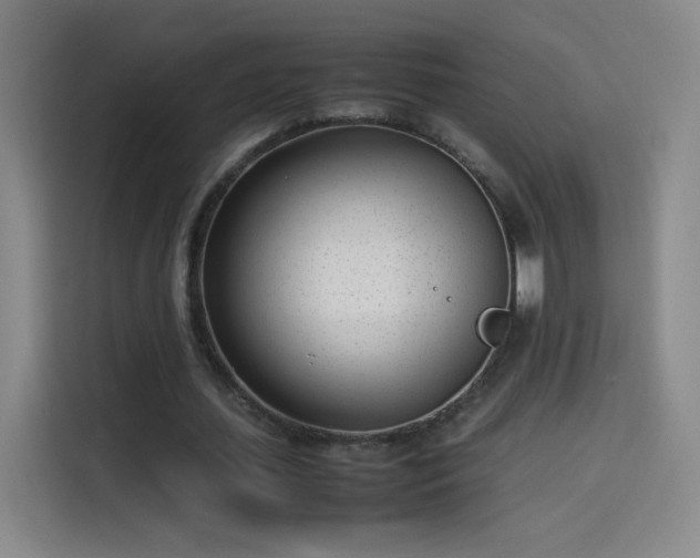 X0000114060627200910131146