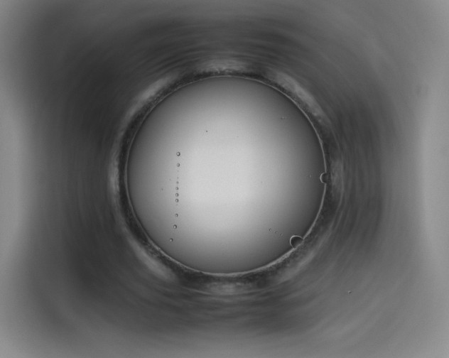 X0000114060629200910131146