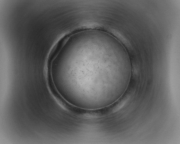 X0000114060630200910131146