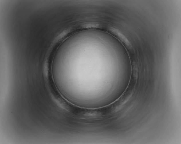 X0000114060631200910131146