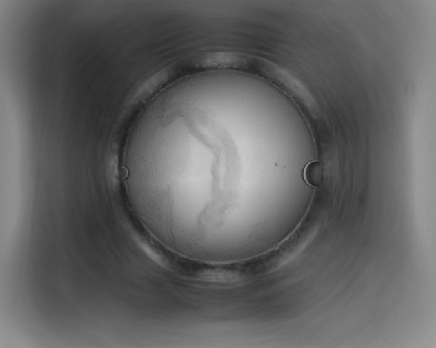 X0000114060633200910131146