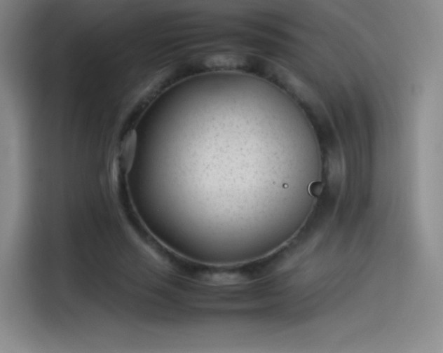 X0000114060637200910131146