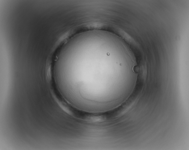 X0000114060638200910131146