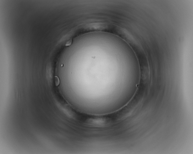 X0000114060639200910131146