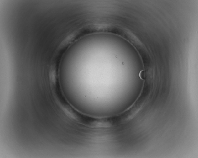 X0000114060644200910131146