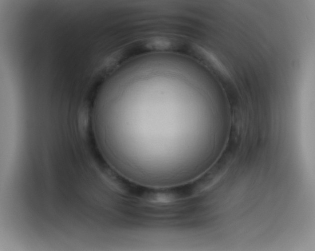 X0000114060645200910131146