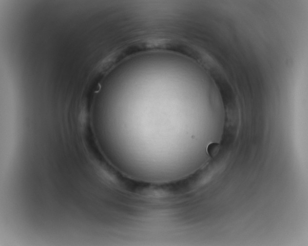 X0000114060648200910131146