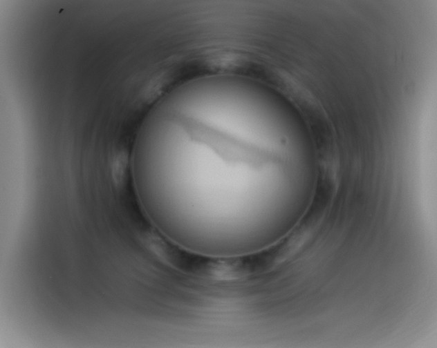 X0000114060660200910131146