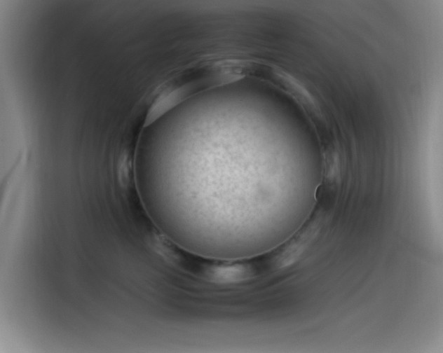 X0000114060669200910131147