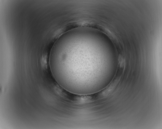 X0000114060670200910131147