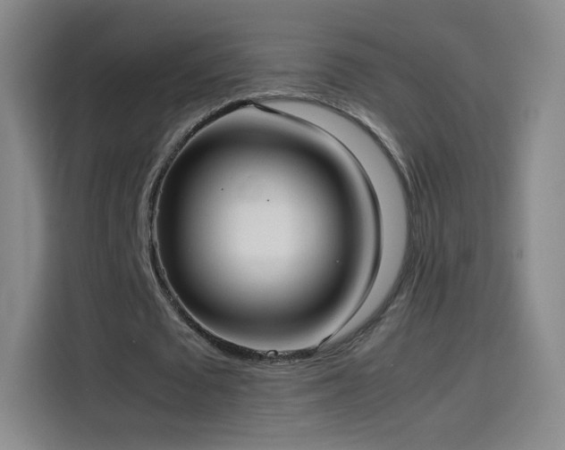 X0000114060673200910131146