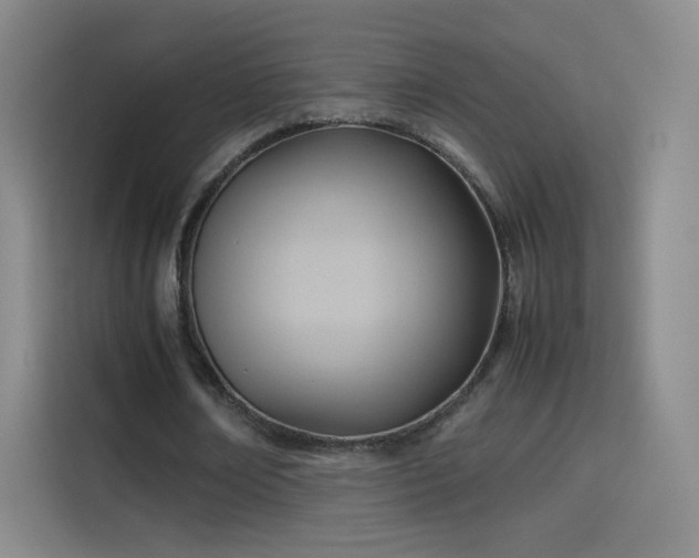 X0000114060674200910131146