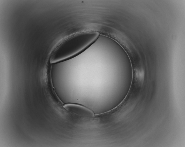 X0000114060676200910131146