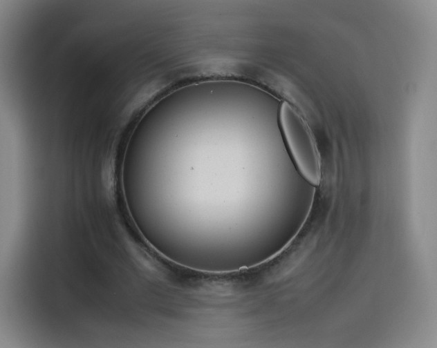 X0000114060677200910131146