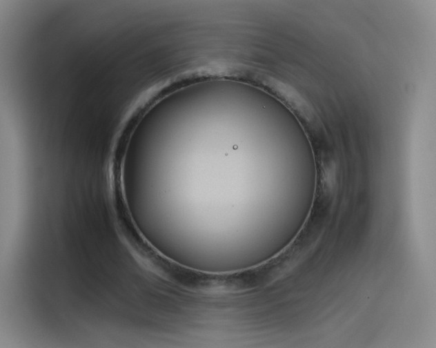 X0000114060678200910131146