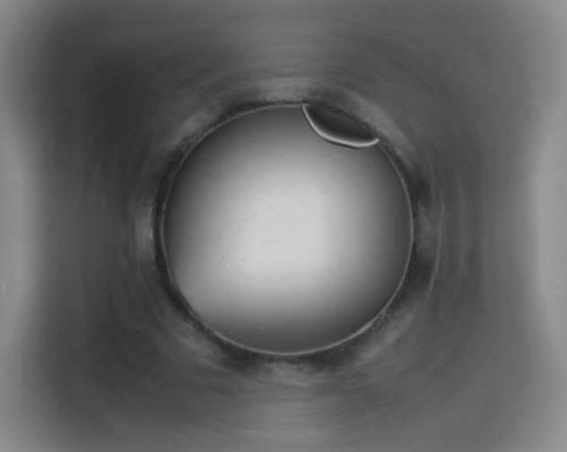 X0000114060681200910131146