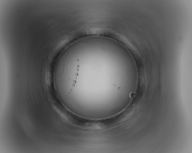 X0000114060683200910131146