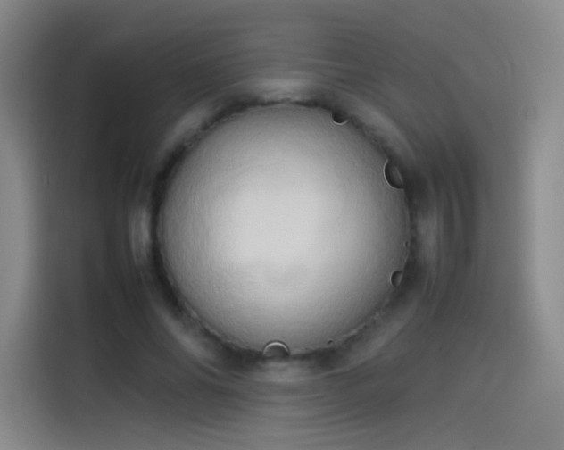 X0000114060686200910131146