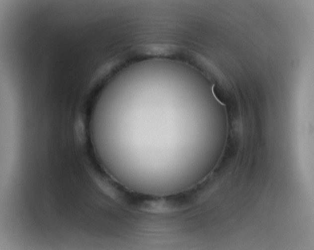 X0000114060688200910131146