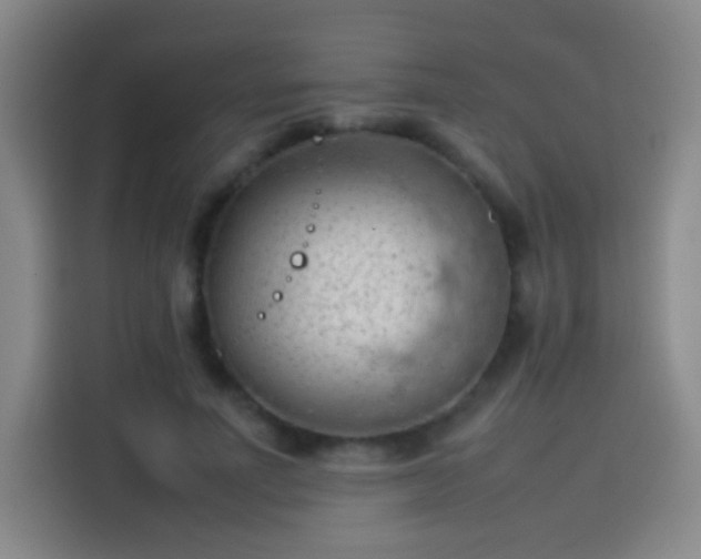 X0000114060691200910131146