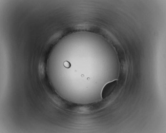 X0000114060692200910131146