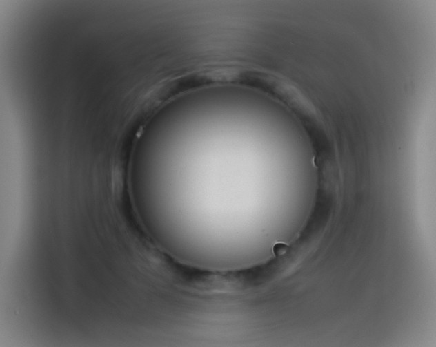 X0000114060697200910131146