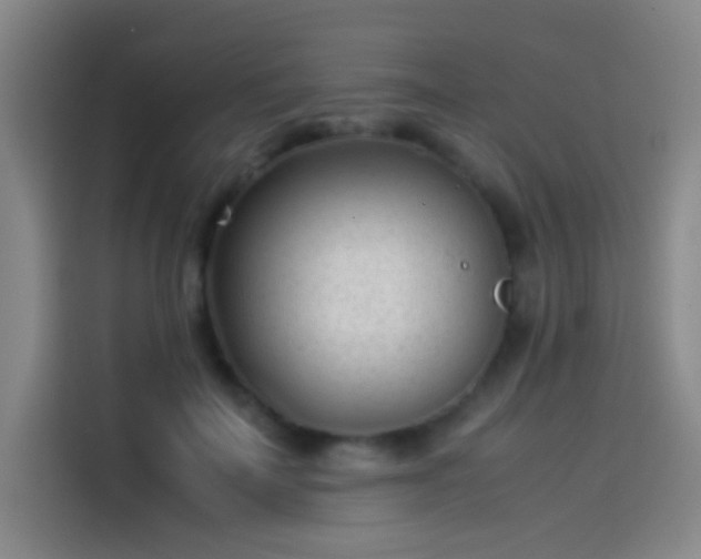 X0000114060699200910131146