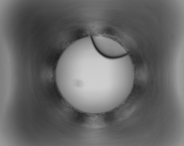 X0000114060709200910131145