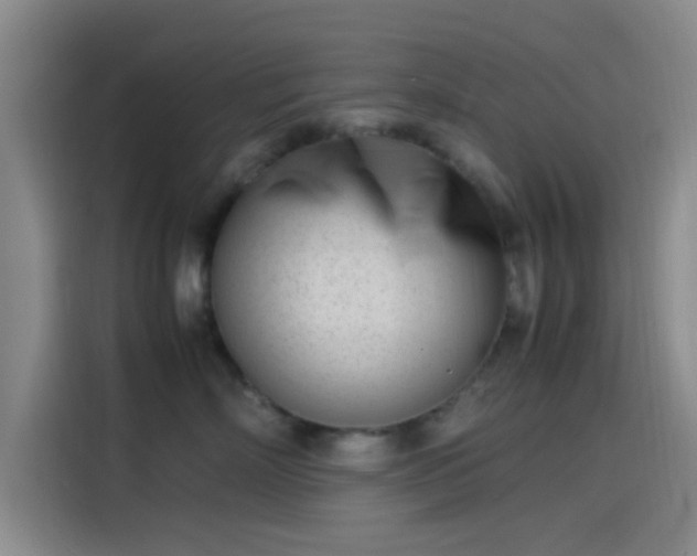 X0000114060718200910131145